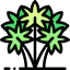 Palm icon 64x64