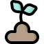 Sprout icon 64x64
