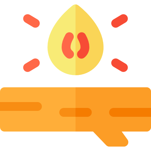 Bonfire icon