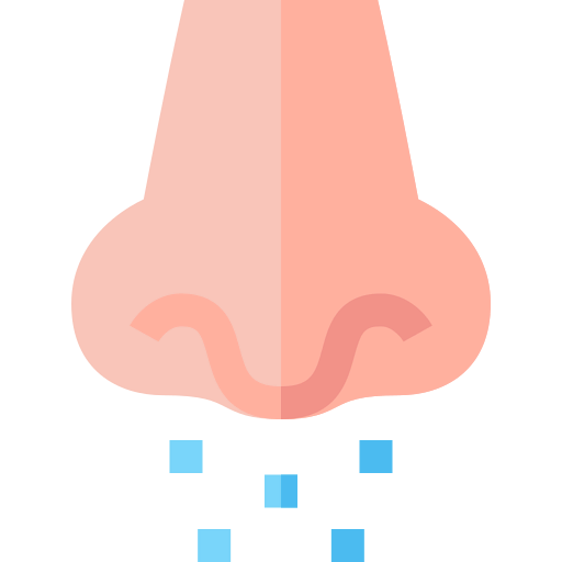 Nose icon