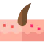 Skin icon 64x64