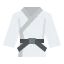 Judo icon 64x64