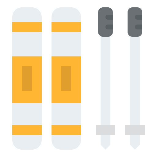 Ski icon