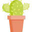 Cactus icon 64x64