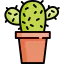 Cactus icon 64x64