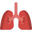 Lung icon 64x64