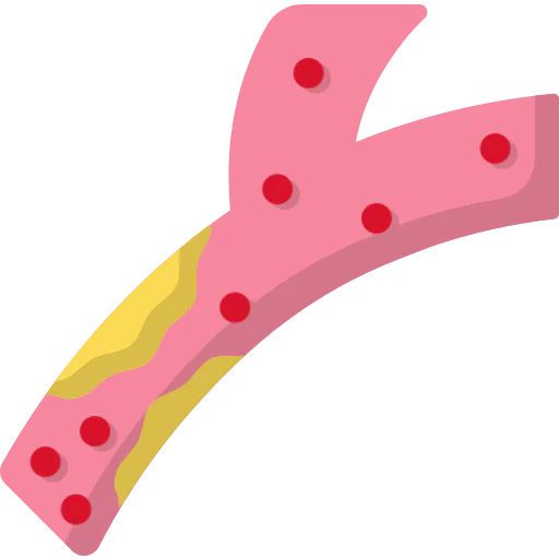Cholesterol icon