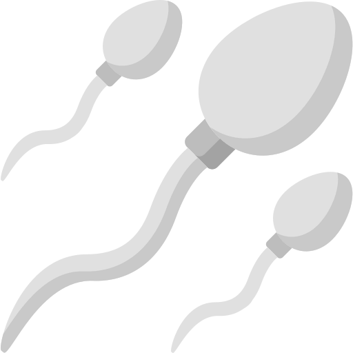 Sperm icon
