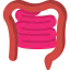 Intestine icon 64x64