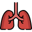 Lung icon 64x64