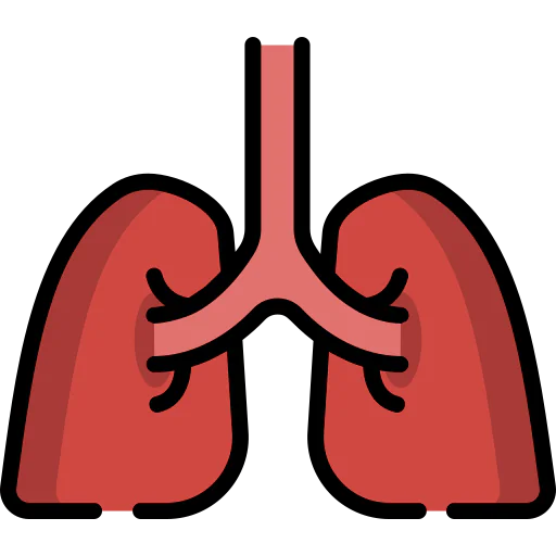 Lung icon