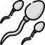 Sperm アイコン 64x64