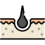 Skin icon 64x64