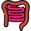 Intestine icon 64x64