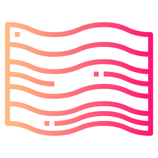 Flag icon