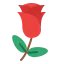 Rose icon 64x64