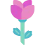 Rose icon 64x64
