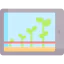 Growth icon 64x64