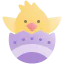 Chick icon 64x64