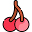 Cherries アイコン 64x64
