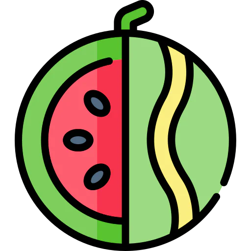 Watermelon icon