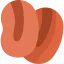 Coffee beans icon 64x64