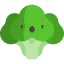 Broccoli icon 64x64