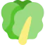 Lettuce icon 64x64