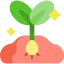 Growing seed icône 64x64