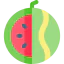 Watermelon icon 64x64