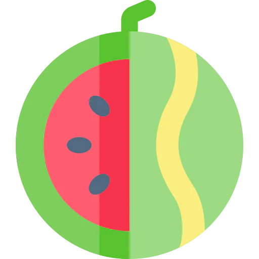 Watermelon icon