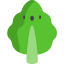Leaf icon 64x64