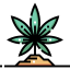 Cannabis icon 64x64