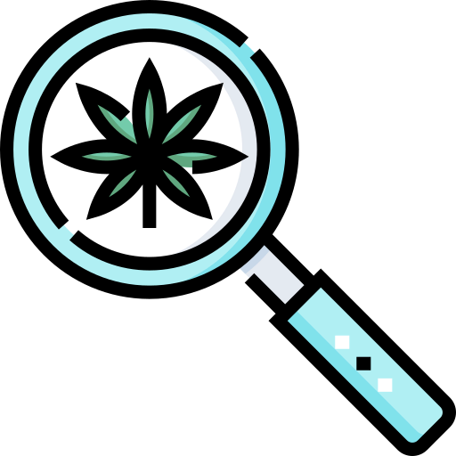 Research icon