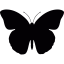 Butterfly icon 64x64