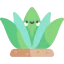 Agave icon 64x64