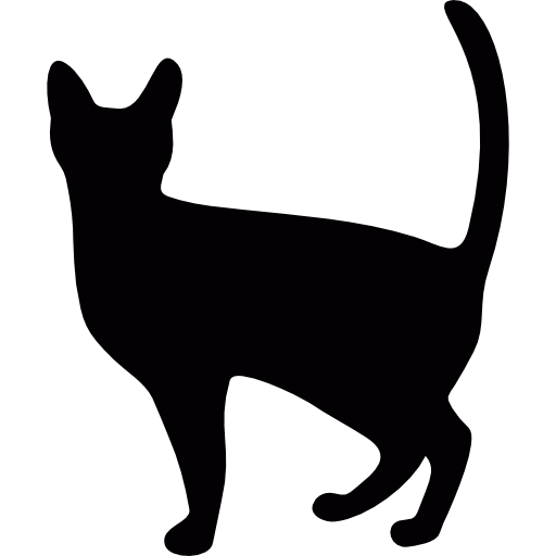 Witch Cat icon