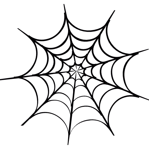 Spider web icon