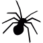 Spider insect icon 64x64