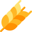 Wheat icon 64x64