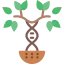 Family tree icon 64x64