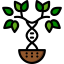 Family tree icon 64x64