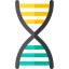 Gmo icon 64x64