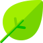 Leaf icon 64x64