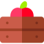 Fruit icon 64x64