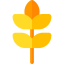 Wheat icon 64x64