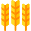 Wheat icon 64x64