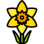 Daffodil icon 64x64