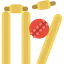 Cricket icon 64x64