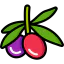 Olives icon 64x64